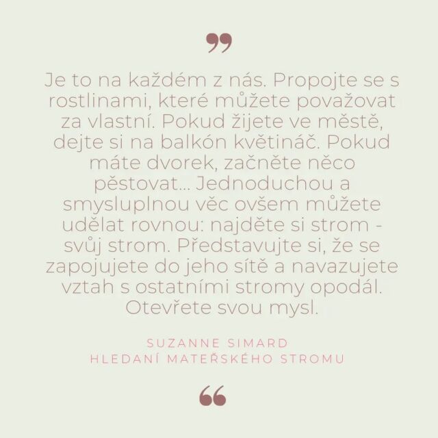#mezidruhovakomunikace #stromy #jsmejednim #propojenost #intuitivnikomunikace #komunikacestromu