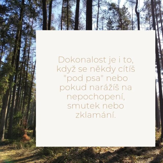 Instagram post 17940295235790673