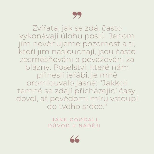 #komunikacesezviraty 
#poselstvi 
#janegoodall